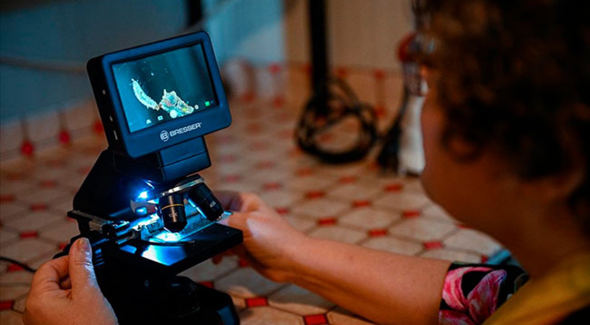 Kozmetik ham maddesinin ardından sinekten köpek maması da ürettiler