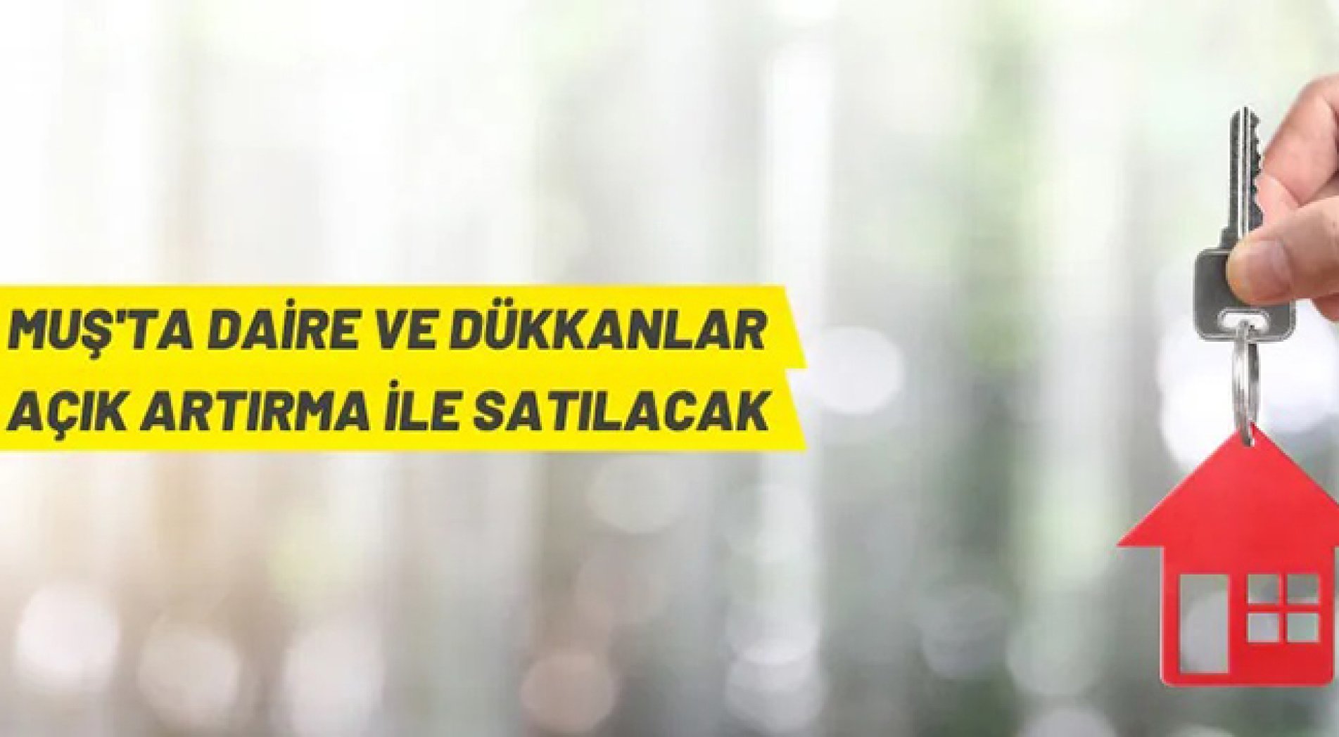 Muş'ta daire ve dükkanlar ihaleyle satılacak