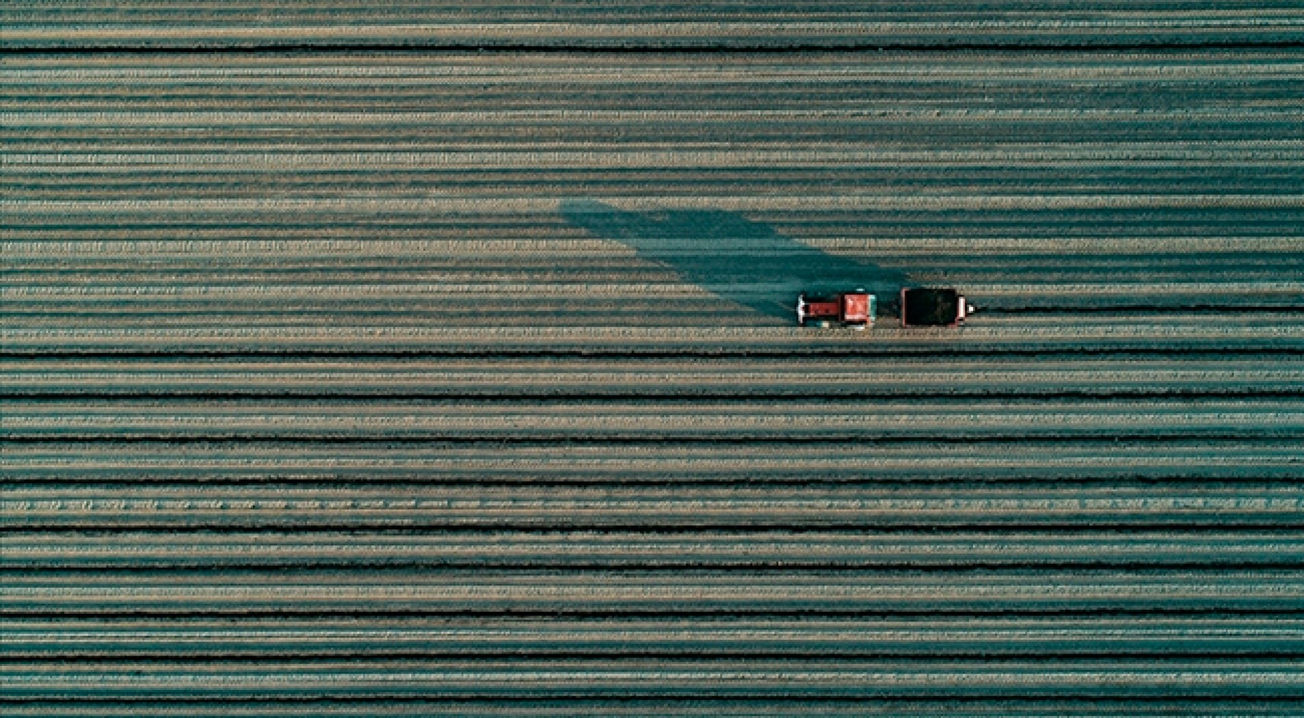 Tarımda kuraklıkla mücadele için 