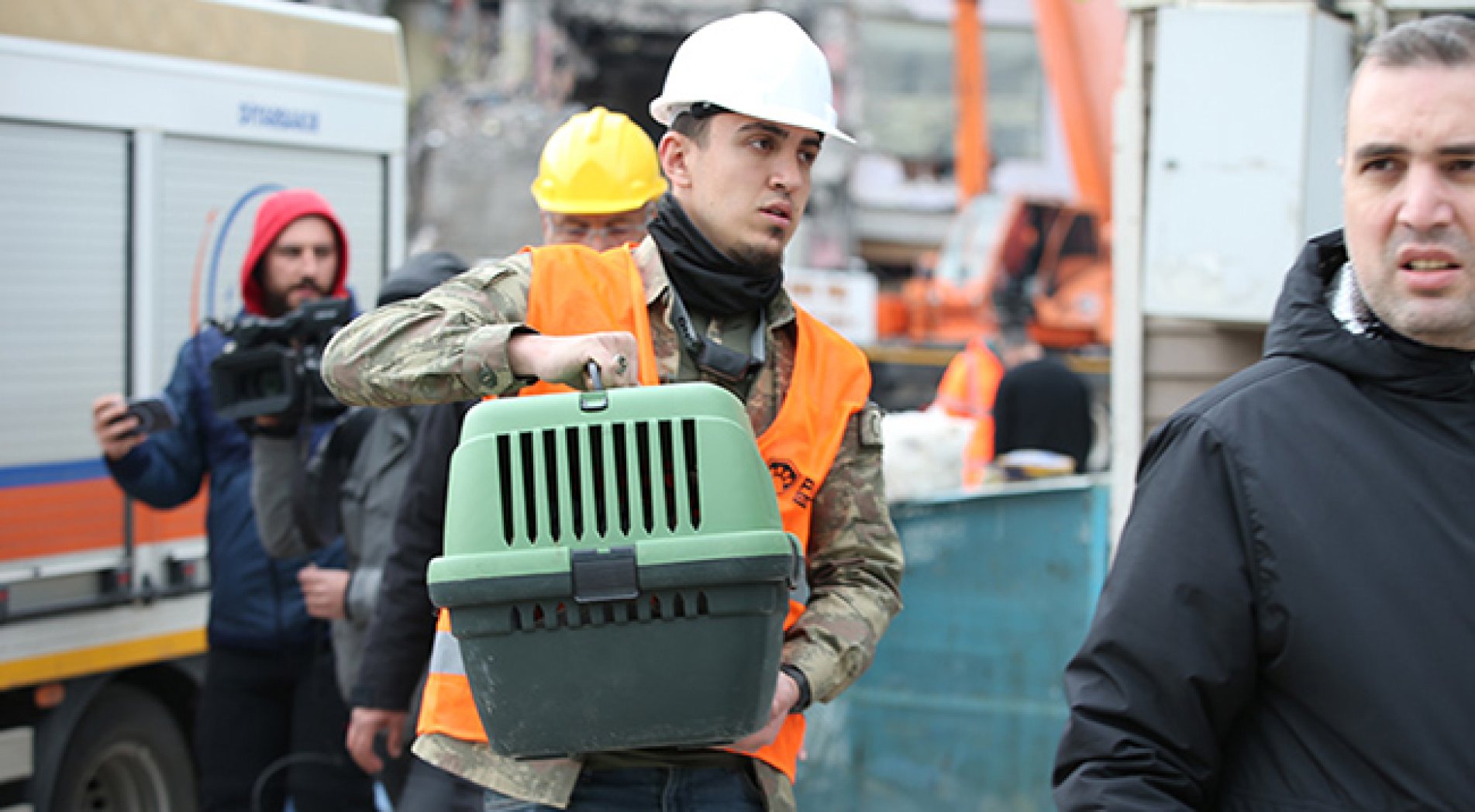 Diyarbakır'da ağır hasarlı siteden kurtarılan kedi sayısı 7'ye ulaştı