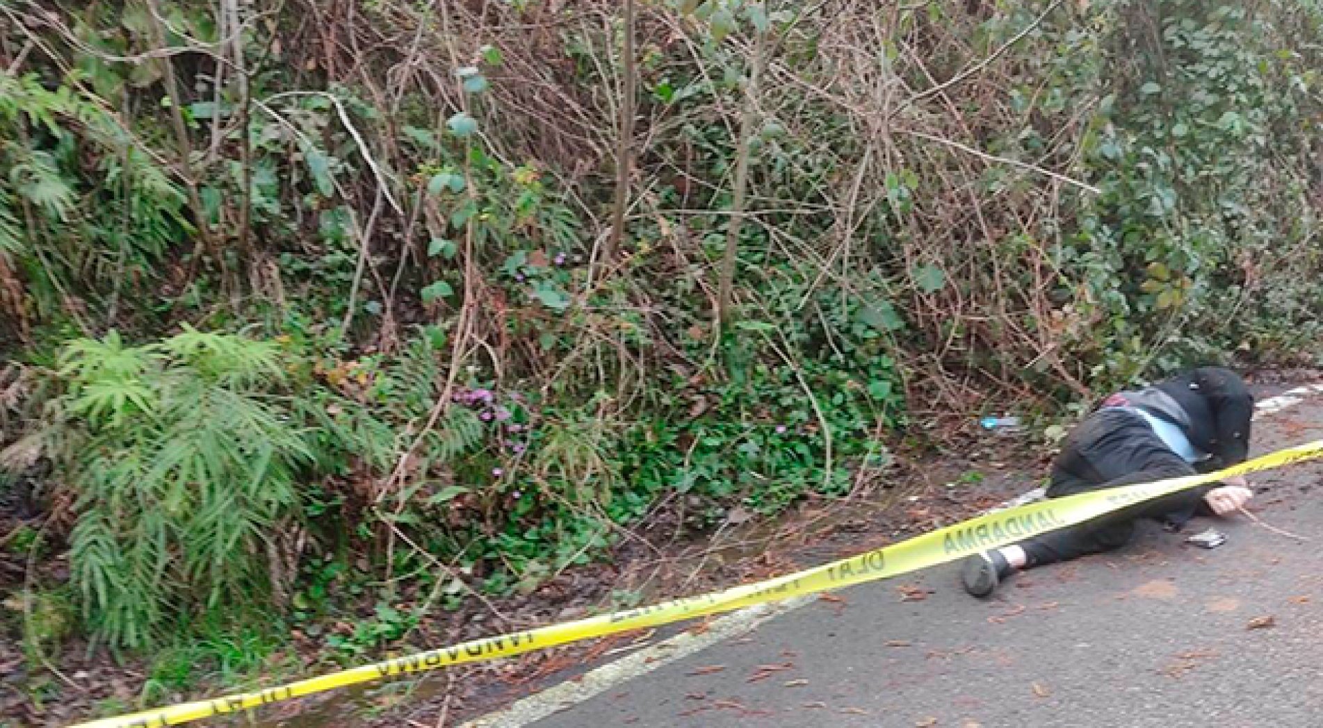 Yol kenarında ölü olarak bulundu