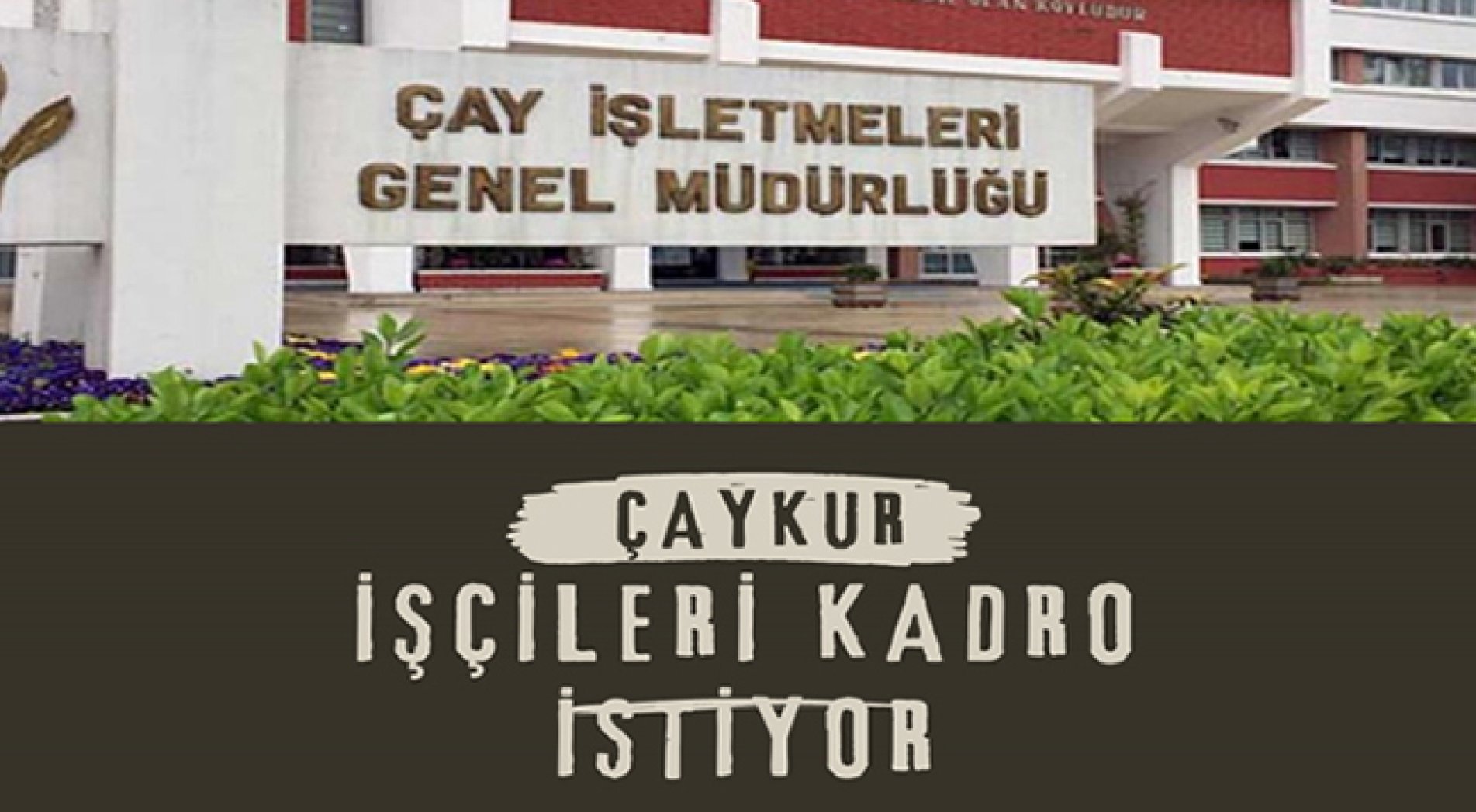 Öz Gıda İş Sendikası: ÇAYKUR İşçileri Kadro İstiyor