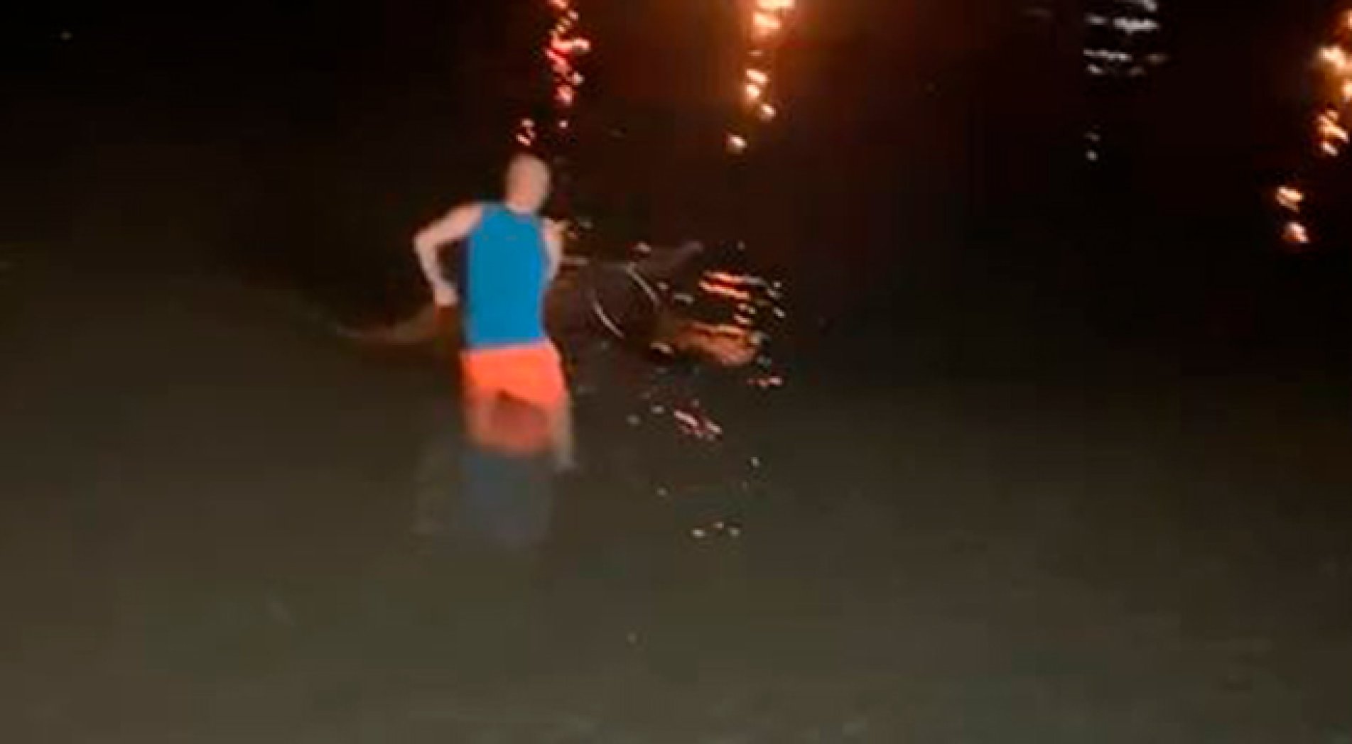 Kafes yırtıldı, sahil somonla doldu