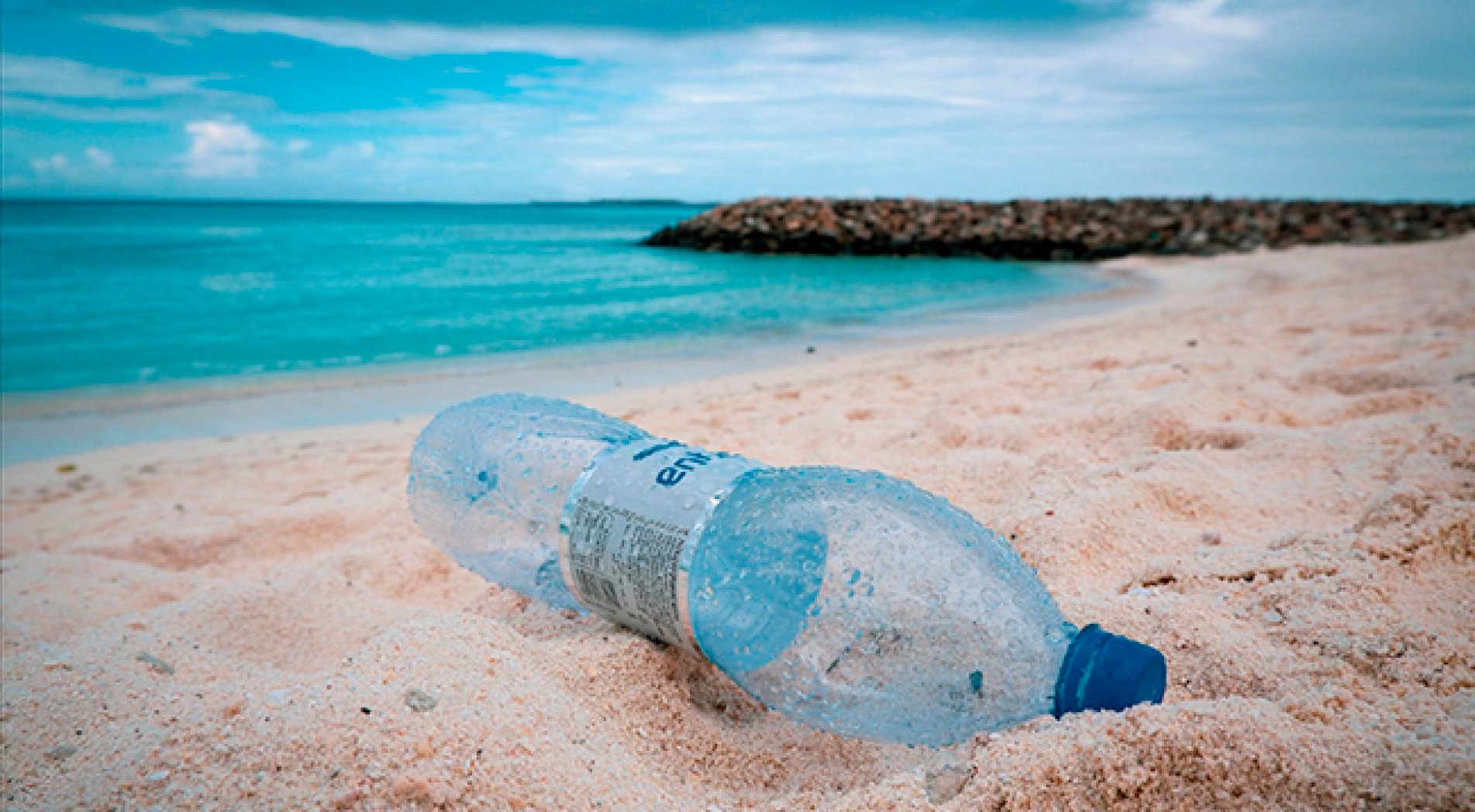 Okyanusların tamamında 171 trilyon plastik parçası olduğu tahmin ediliyor