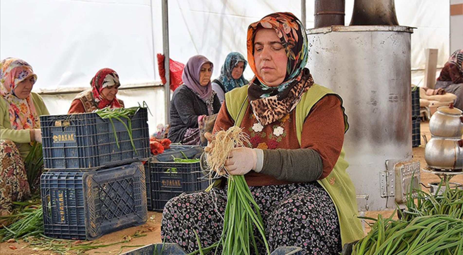 Havaların Mevsim Normalinin Üzerinde Seyretmesi Kışlık Sebzelere Talebi Azalttı