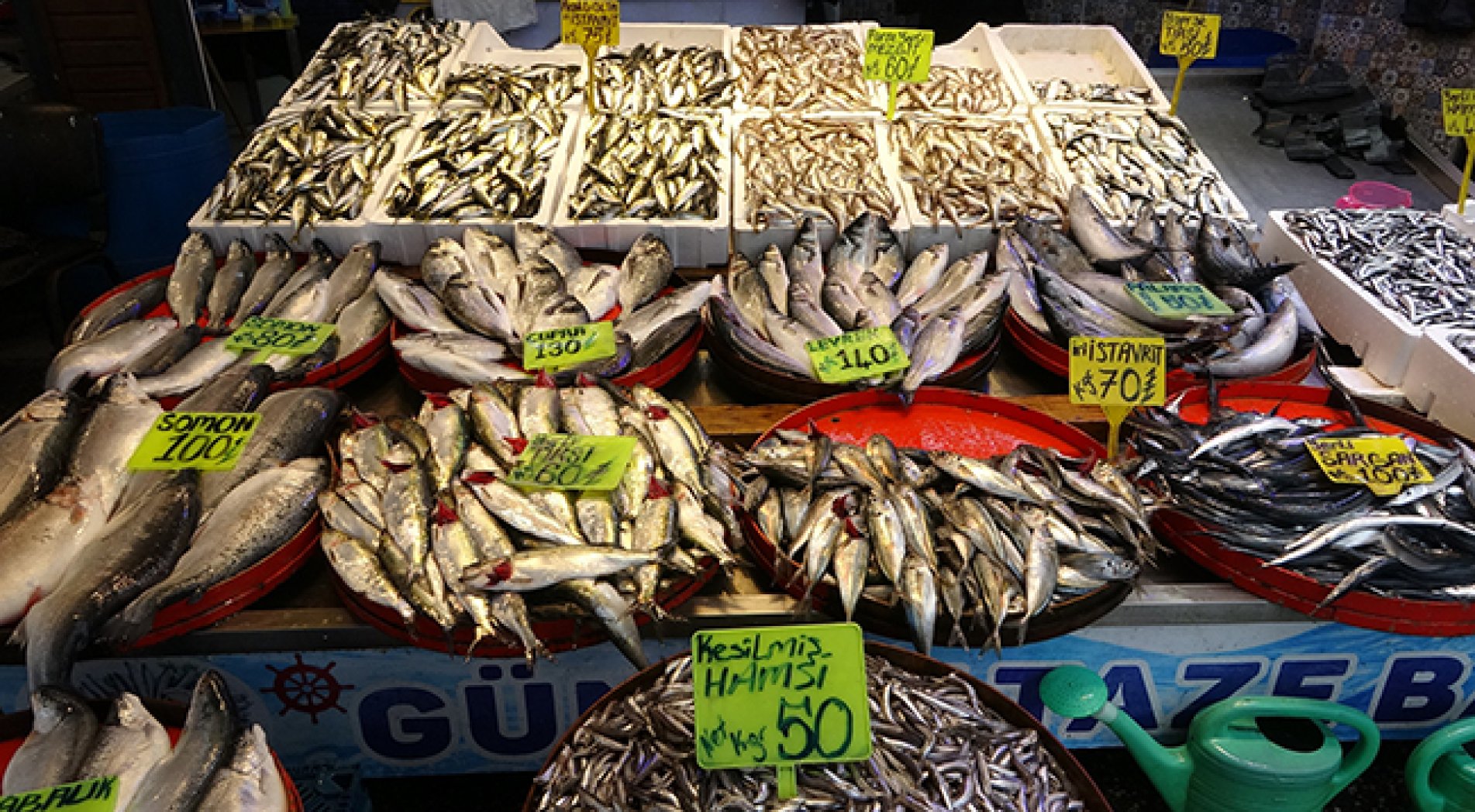 Balık Stokları Giderek Azalıyor