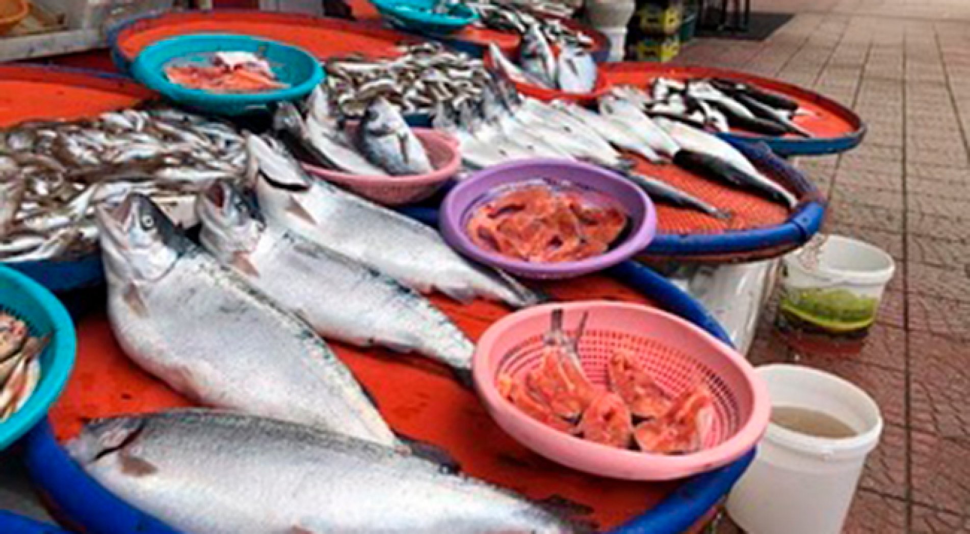 Balık Kafesinden Kaçan Balıkların 'Haram mı Helal mi?' Tartışması