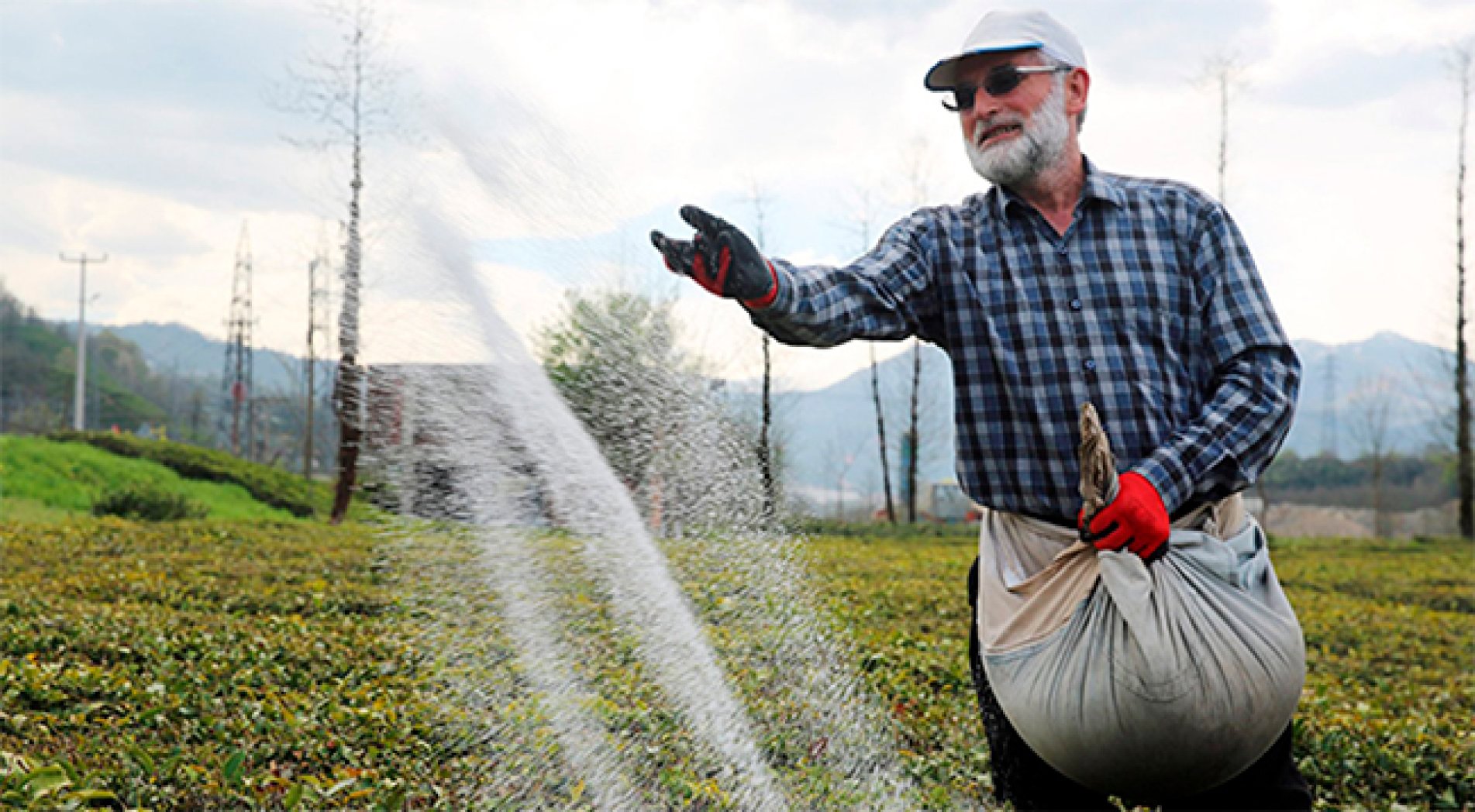 2023 Yılının Yaş Çay Gübre Fiyatları Açıklandı