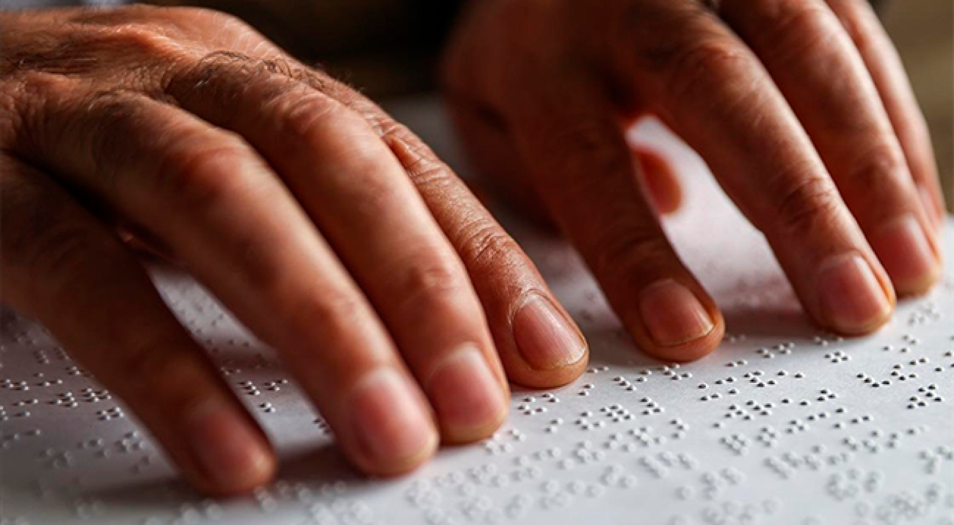 Görme engelliler, özel şablonla oy kullanabilecekler