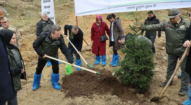 2 bin 800 adet fidan toprakla buluştu