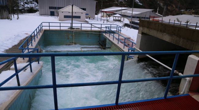 22 Mart su gününde Rize Belediyesi'nden su çağrısı 