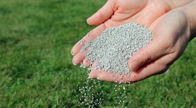 Çay gübre fiyatında artış