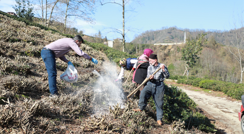 Rize'de 2023 çay gübresi fiyatı