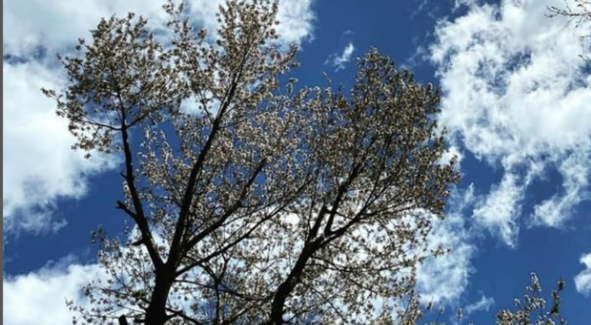 Rize'de bugün: 15 Nisan Cumartesi