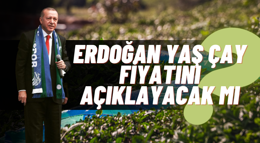 Erdoğan yaş çay taban fiyatını açıklayacak mı?