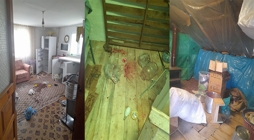 Ayılar dadandıkları yayla evlerini talan etti