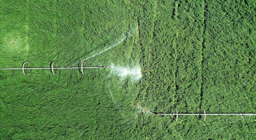 Çiftçilerin tarımsal amaçlı su kullanım hizmet bedelleri yüzde 50 desteklenecek