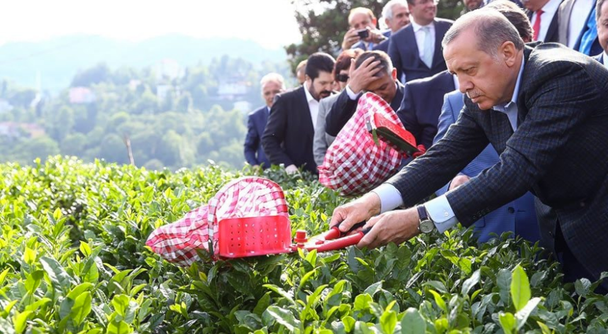 2023 yaş çay fiyatı açıklandı mı?