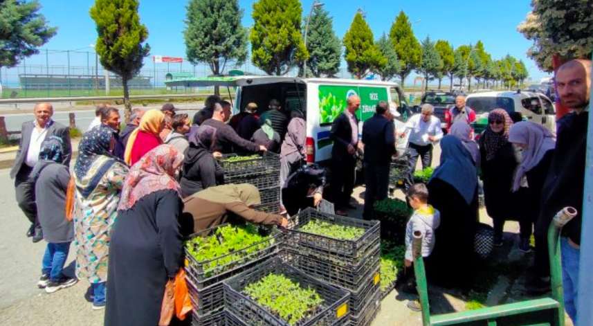 Rize’de 300 bin sebze fidanı dağıtıldı