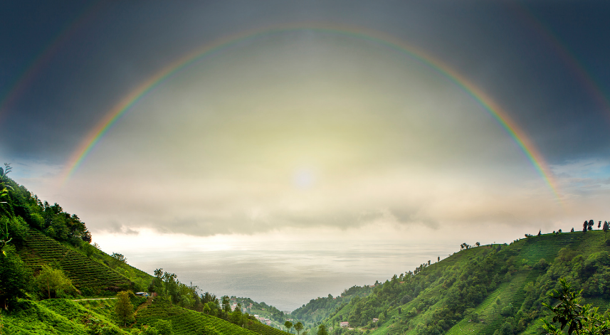 Rize'de bugün: 25 Mayıs Perşembe