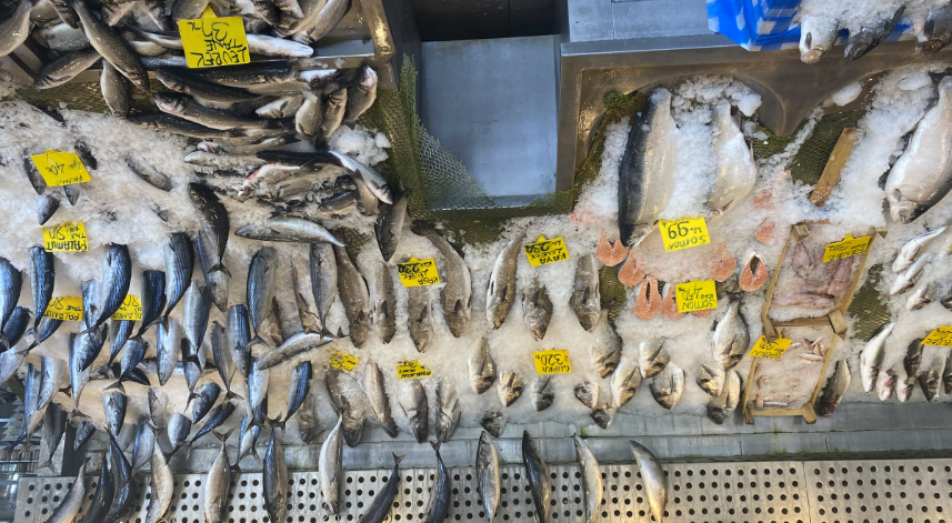 Karadeniz somonu 300 yerine 100 liradan satılıyor