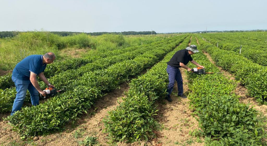 RTEÜ'den Azerbaycan'a teknik gezi