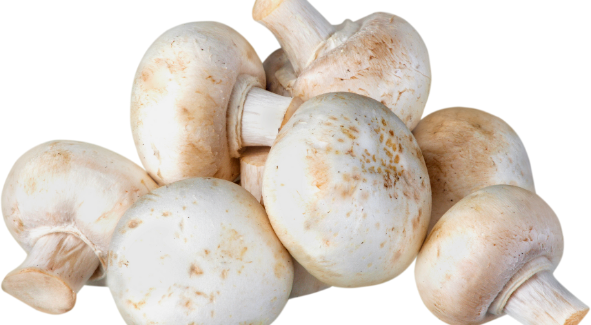 3 kişi mantar zehirlenmesi şüphesiyle hastaneye kaldırıldı