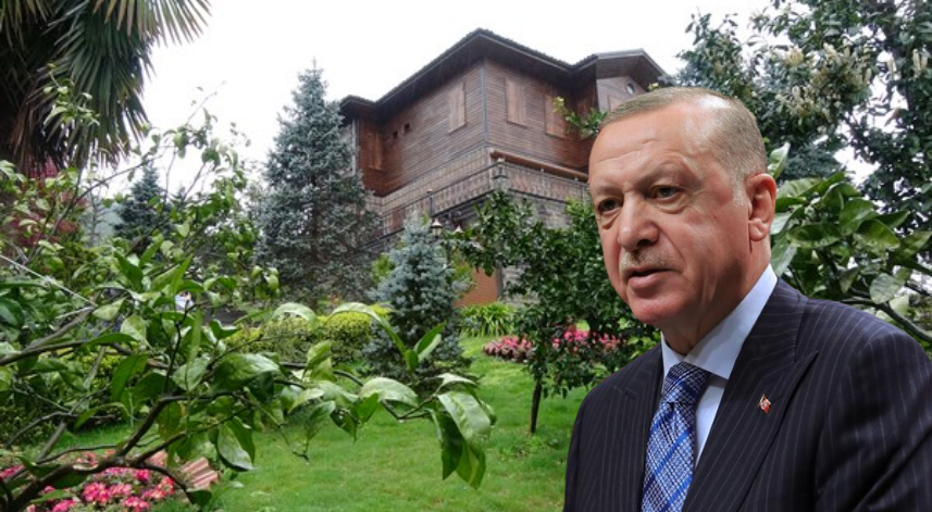 Cumhurbaşkanı Erdoğan’ın Rize’deki mal varlığı belli oldu