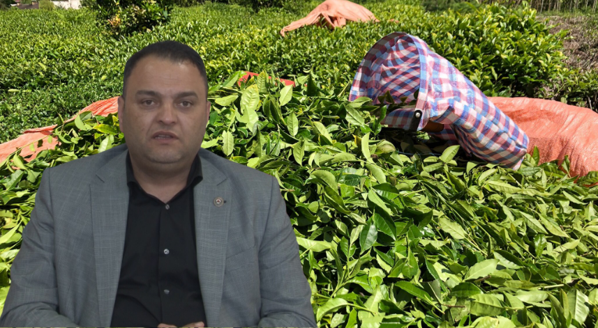 Rize Ziraat Odası'ndan üreticilere önemli uyarı