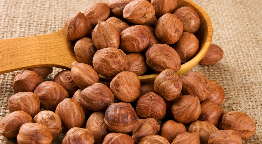 9 aylık fındık ihracatı 1,5 milyar dolara yaklaştı