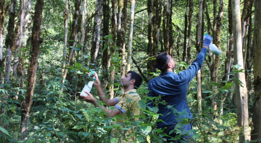 Fırtına Vadisi'ndeki çalışma örnek olacak