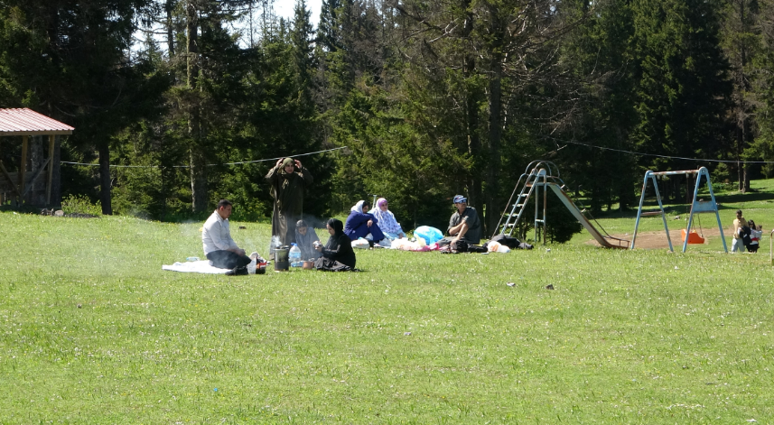 Güneşli havayı fırsat bilip yaylaları şenlendirdiler