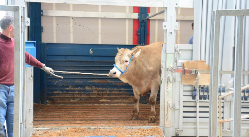 Kurban kesecekler dikkat