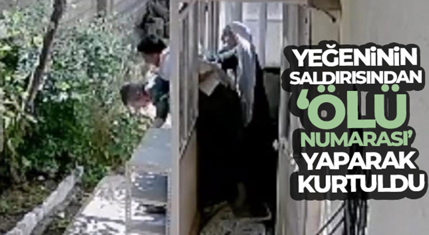 Yeğeninin saldırısından ‘ölü numarası' yaparak kurtuldu