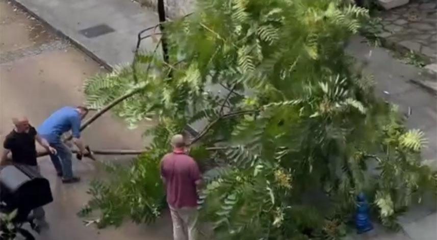 Rize'de sağanak yağış etkili oluyor