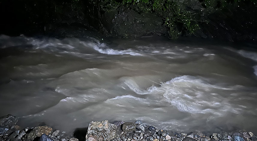Ordu'da selde kaybolan kadını arama kurtarma çalışmalarına sabah devam edilecek