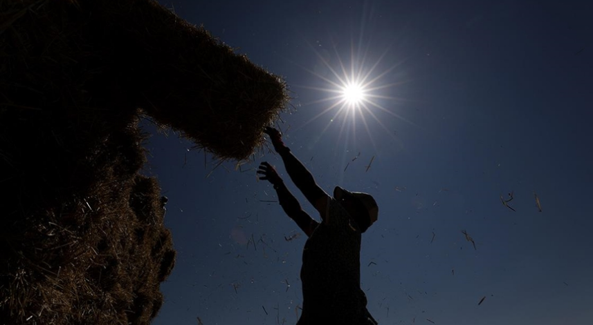 Yaklaşık 900 milyon çiftçi için sıcaklık stresi alarmı