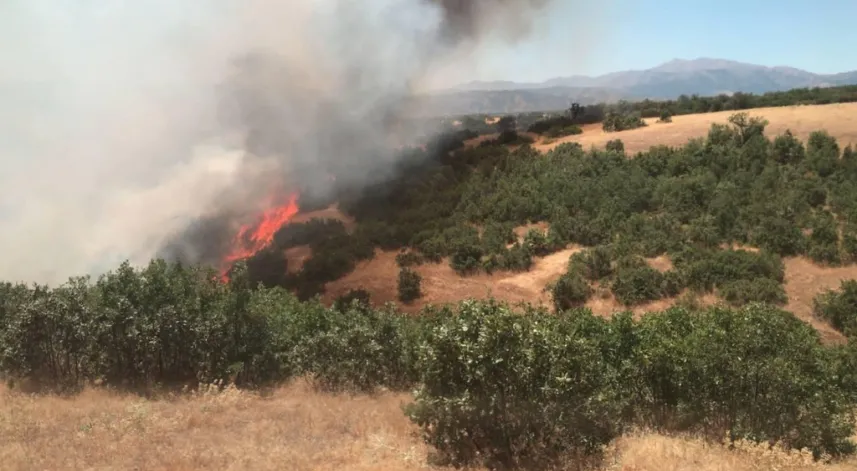Bingöl'de çıkan orman yangını söndürüldü