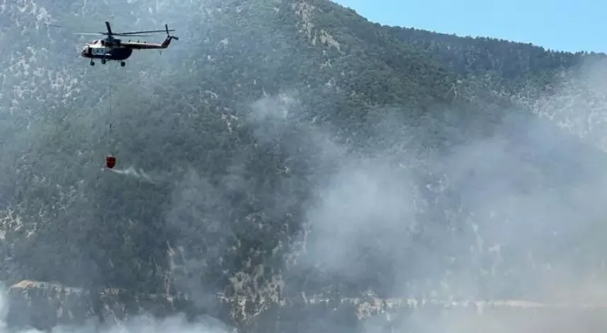 Bolu, Burdur, Muğla ve Bursa Uludağ'da orman yangını