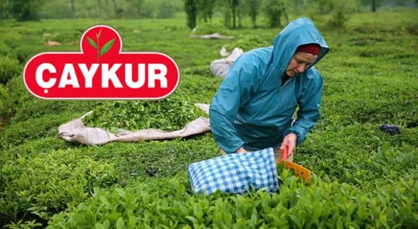 ÇAYKUR ekim ayı çay paralarını ödüyor