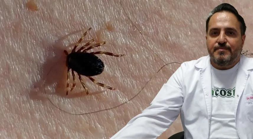 Doğu Karadeniz'de kene vakaları düşüşe geçti