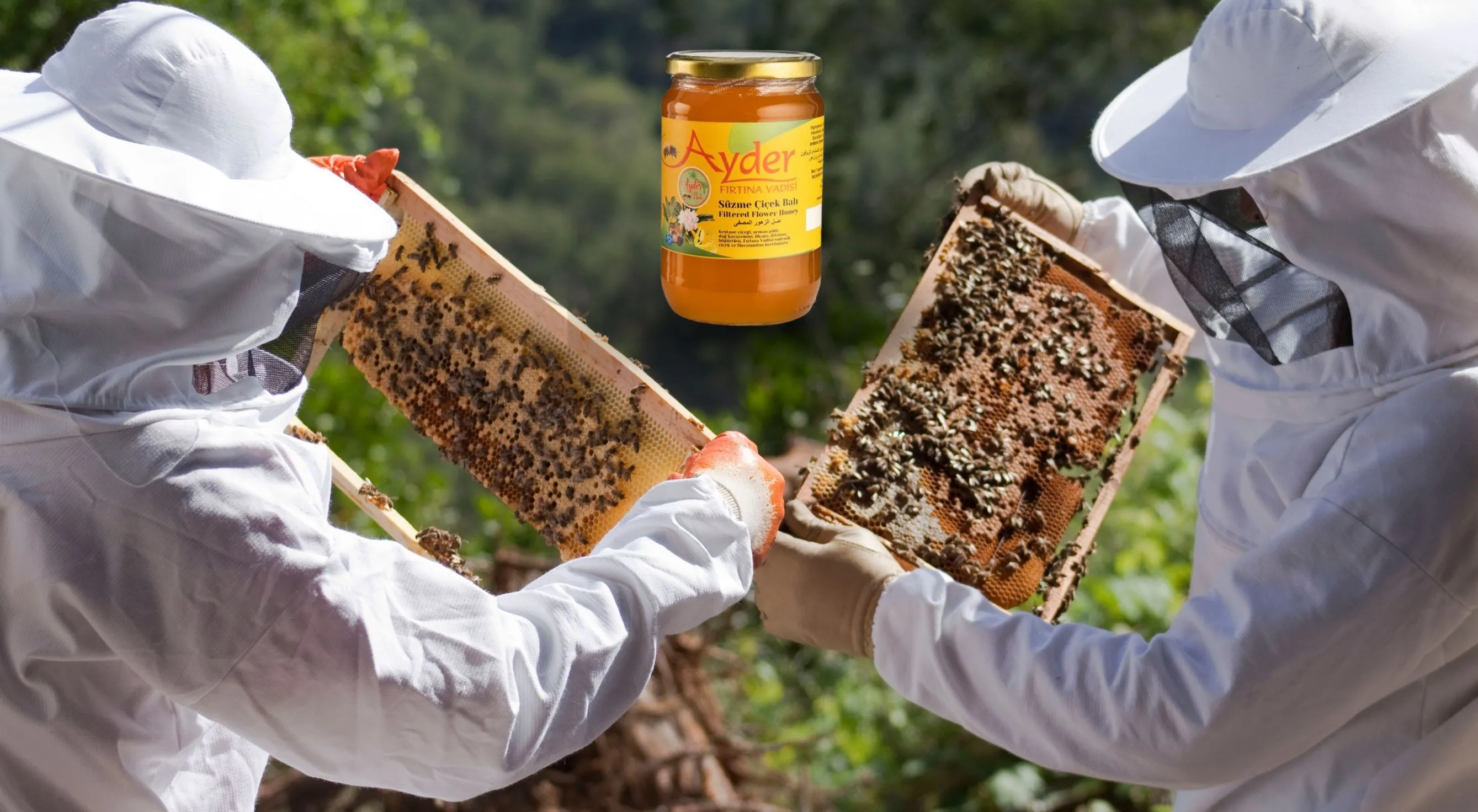 Rize’de Ayder Balında bu sene fiyat artışı yok