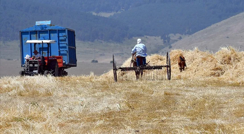 Tarımsal destekleme ödemeleri bugün çiftçilerin hesaplarına aktarıldı