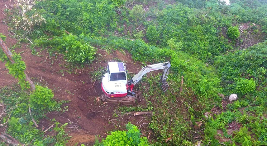 Artvin’de bozuk orman sahaları ve doğal afetlerde zarar görmüş alanlar fidan dikimi hazırlanıyor