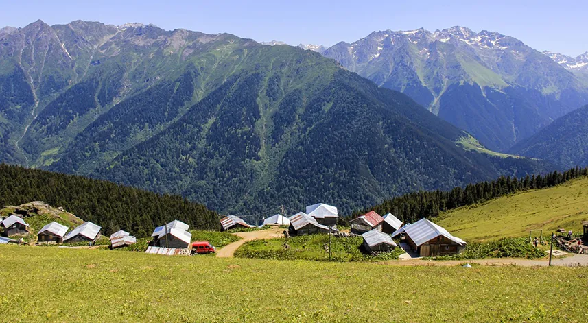Ardeşen'in sessiz cenneti: Golezana Yaylası