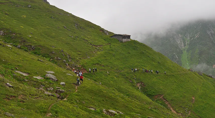 Doğa tutkunlarının keşfi: Avusor Yaylası