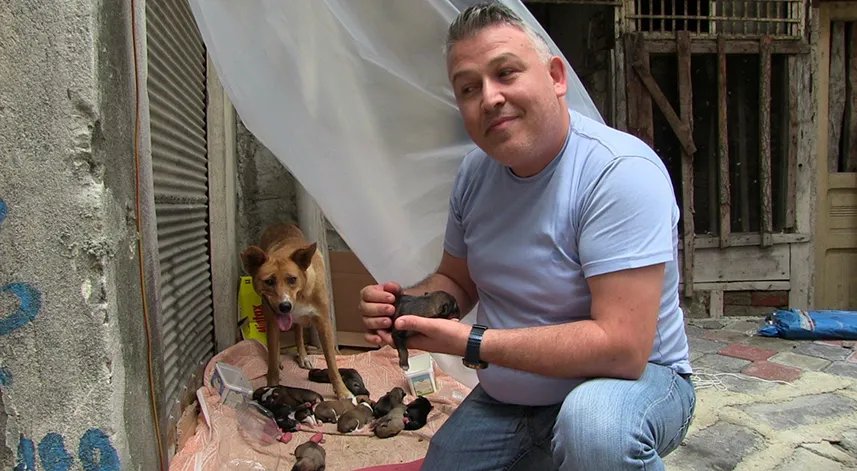 Sokak köpeği ve 12 yavrusuna esnaf sahip çıktı