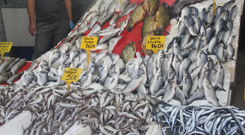 Samsun'da tezgahlar mezgit ve istavritle süslendi