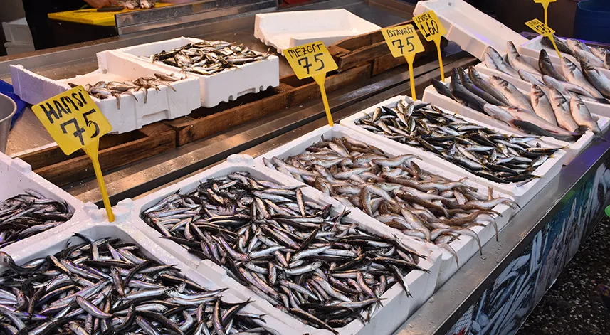 Tezgahları hamsi, mezgit ve istavrit süslüyor