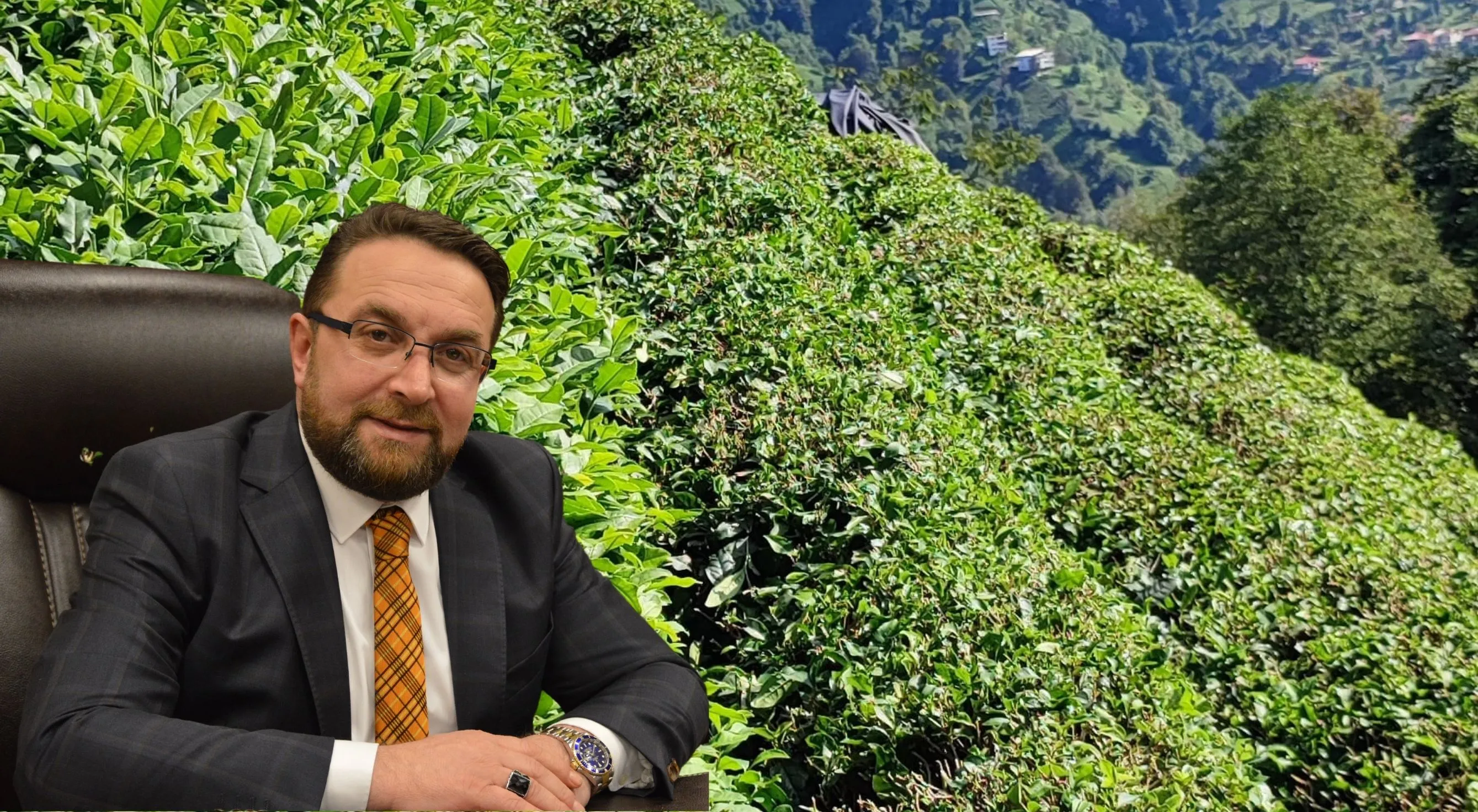 Erdoğan: Hava koşullarına uygun çay bahçeleri oluşturmalıyız